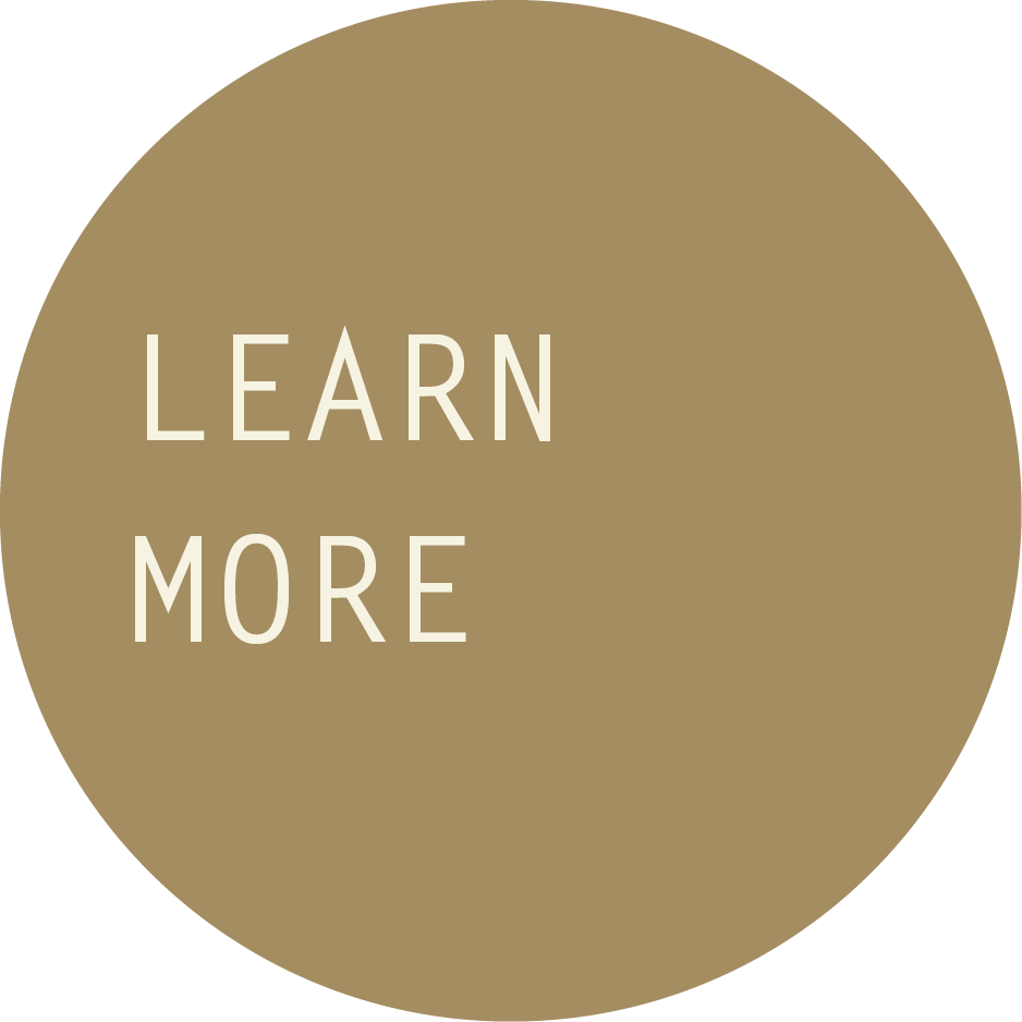 a-star-is-born-elisa-russo-button-lern-more